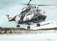westland copter.jpg (65483 bytes)